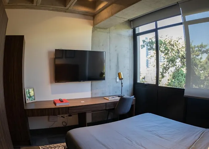 Loft Moderno En Roma Norte, Zona Trendy Apartment *